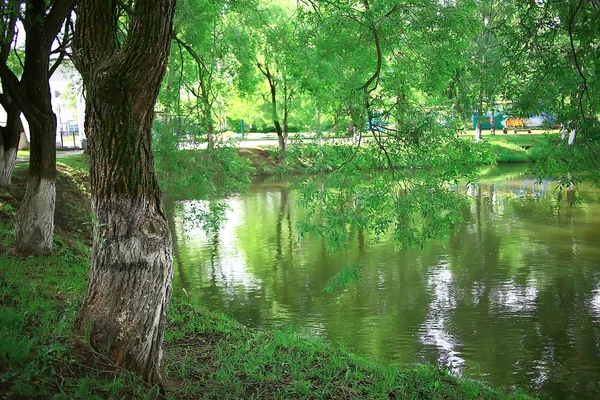 Пейзаж Летнего Парка Зеленые Деревья Дорожка Летнем Городском Парке — стоковое фото