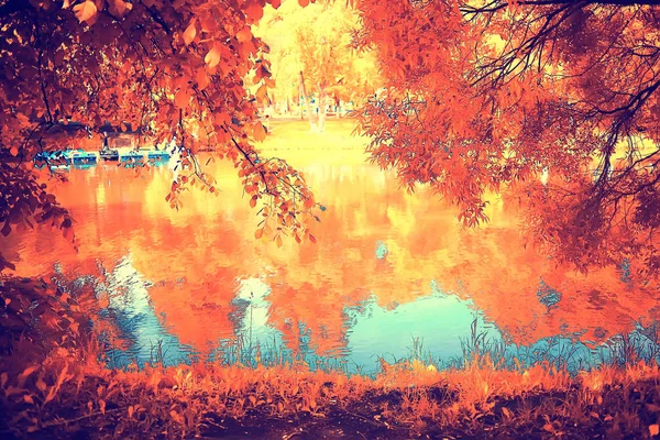 Schöne Herbstliche Waldlandschaft Gelber Wald Bäume Und Blätter Oktober Landschaft — Stockfoto