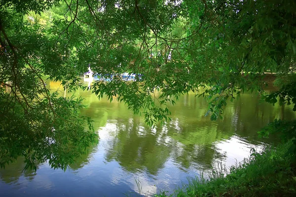 サマーシティパークの夏の公園風景 緑の木と歩道 — ストック写真