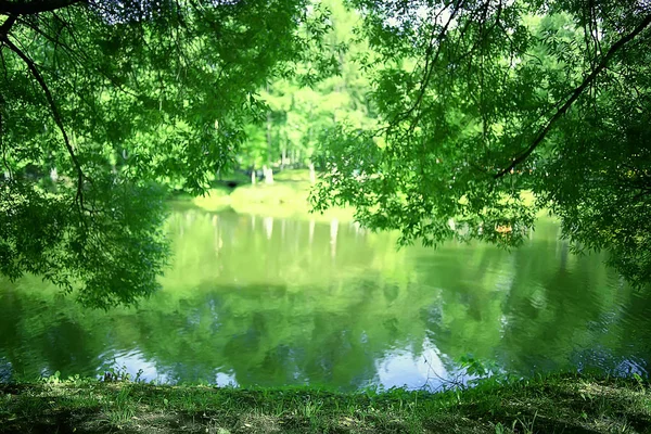 Parque Verão Paisagem Árvores Verdes Passeio Parque Cidade Verão — Fotografia de Stock