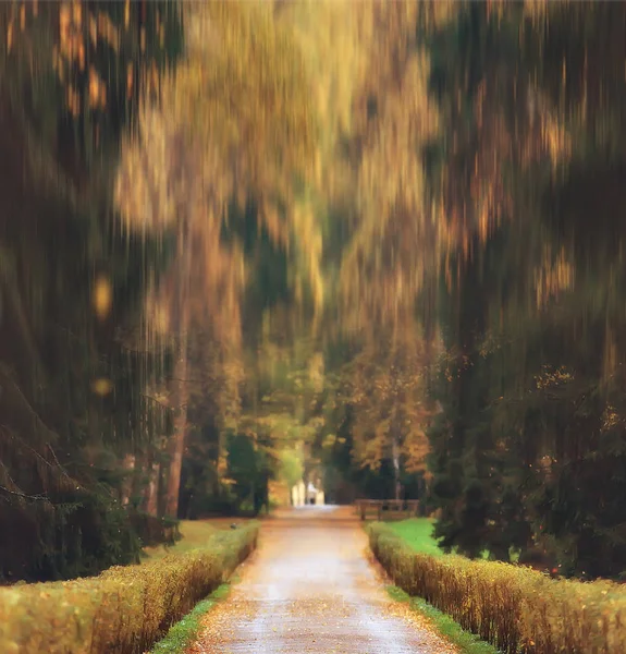 Podzimní Pozadí Náměstí Rozmazané Podzimní Krajinou Parku Bokeh Rozostřeného Pozadí — Stock fotografie