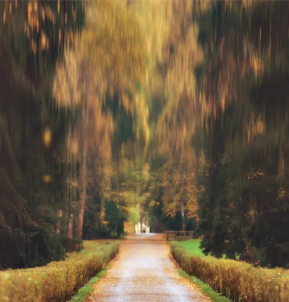 Autumnal Background Square Blurred Autumn Landscape Park Blurred Bokeh Background — Stock Photo, Image