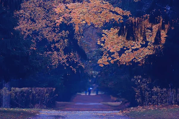 Oktober Landschap Herfst Het Park Gele Oktober Bomen Alley Herfst — Stockfoto