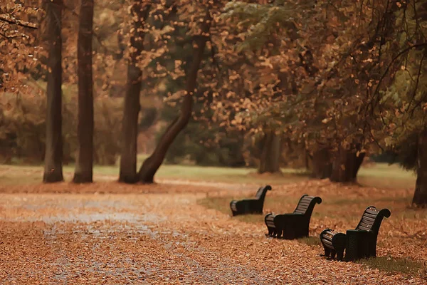 长椅上的秋天风景 城市公园里有橘树的树枝 一条街道长椅上的秋天森林景观 周末的概念在城市公园 — 图库照片