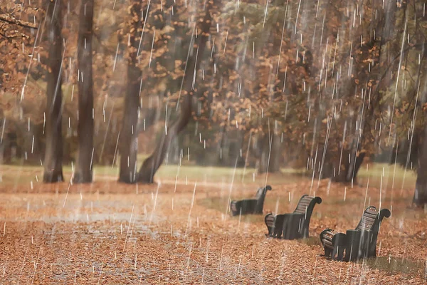 秋の雨背景 秋の雨の下で公園のベンチ 悪天候では黄色の 月公園 人なしの秋の風景の中を歩く — ストック写真