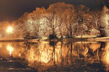 gece sonbahar park peyzaj / bir şehirde güzel bir gece park sarı ağaçları ile