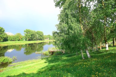 Summer Park Peyzajı, Yeşil Ağaçlar ve Yaz Şehri Parkı 'ndaki Yürüyüş