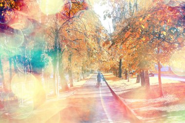 güzel sonbahar orman manzara. Park Orman, ağaç ve yaprak Ekim manzara sarı