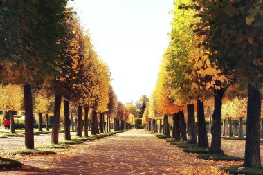 Peterhof sonbahar manzara / sonbahar sonbahar sezon sarı parkta petersburg, park