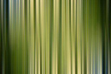 bulanık yeşil degrade arka plan 