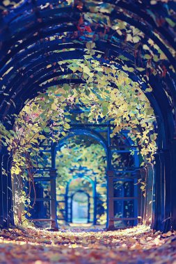 Ekim manzara / park, sonbaharda sarı Ekim ağaçlar, sonbahar manzara sokakta