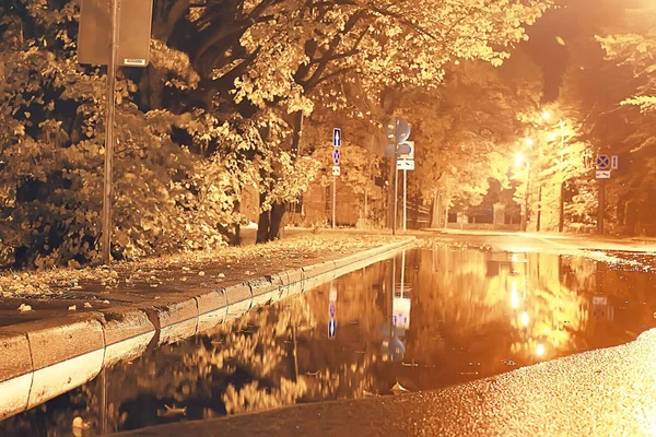 Ночной Осенний Пейзаж Парка Красивая Ночь Городском Парке Желтыми Деревьями — стоковое фото
