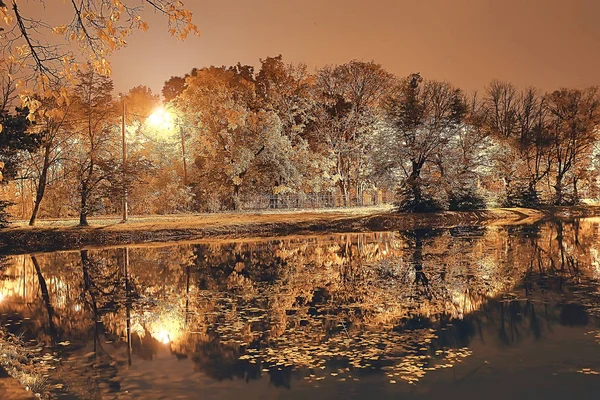 Nuit Automne Parc Paysage Belle Nuit Dans Parc Urbain Avec — Photo