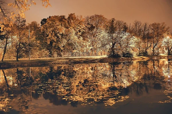 Nacht Herbst Park Landschaft Schöne Nacht Einem Stadtpark Mit Gelben — Stockfoto