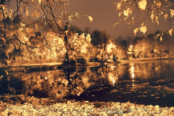 Estanque Parque Paisaje Otoñal Junto Agua Bosque Otoñal Reflejos Árboles —  Fotos de Stock