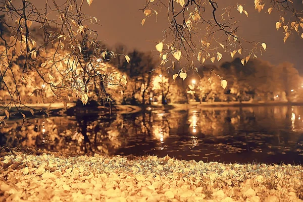 Increíble Paisaje Otoño Con Árboles Amarillos Lago Parque — Foto de Stock