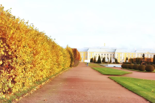 Mooi Herfst Landschap Gele Bomen Herfst Park Heldere Oranje Bos — Stockfoto