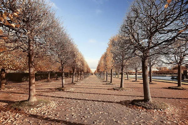 Paisaje Otoño Del Parque Peterhof Otoño Petersburg Temporada Otoño Parque —  Fotos de Stock