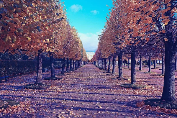 Oktoberlandschaft Herbst Park Gelbe Oktoberbäume Allee Der Herbstlandschaft — Stockfoto