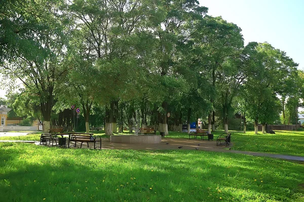 Letni Park Krajobraz Zielone Drzewa Chodnik Summer City Park — Zdjęcie stockowe