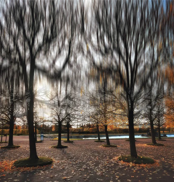 Autumnal Background Square Blurred Autumn Landscape Park Blurred Bokeh Background — Stock Photo, Image
