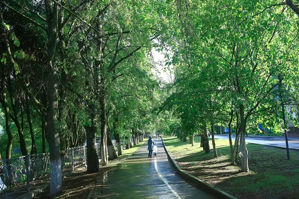 Parco Estivo Paesaggio Alberi Verdi Passerella Nel Parco Della Città — Foto Stock