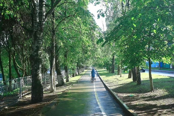 Zomer Parklandschap Groene Bomen Wandelpad Zomer Stadspark — Stockfoto