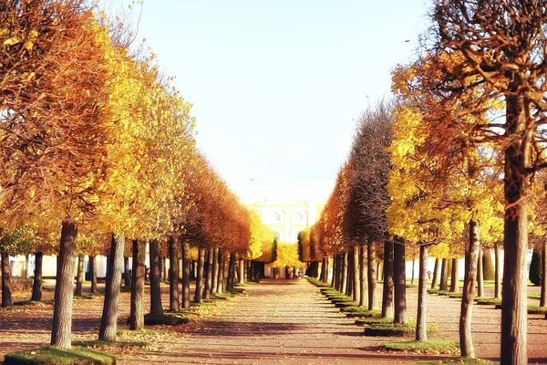 Oktoberlandschaft Herbst Park Gelbe Oktoberbäume Allee Der Herbstlandschaft — Stockfoto