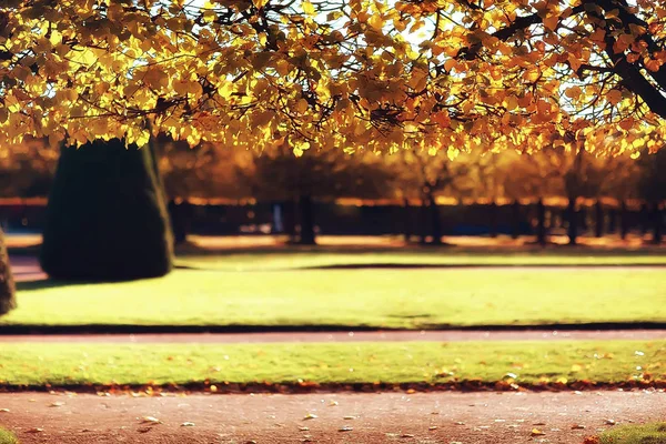 Hermoso Paisaje Otoño Árboles Amarillos Parque Otoño Bosque Naranja Brillante — Foto de Stock