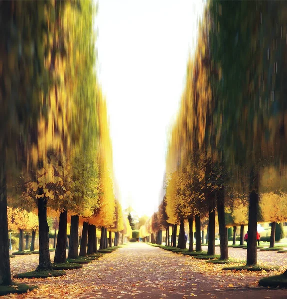 Sfondo Autunnale Piazza Offuscata Paesaggio Autunnale Nel Parco Sfondo Bokeh — Foto Stock