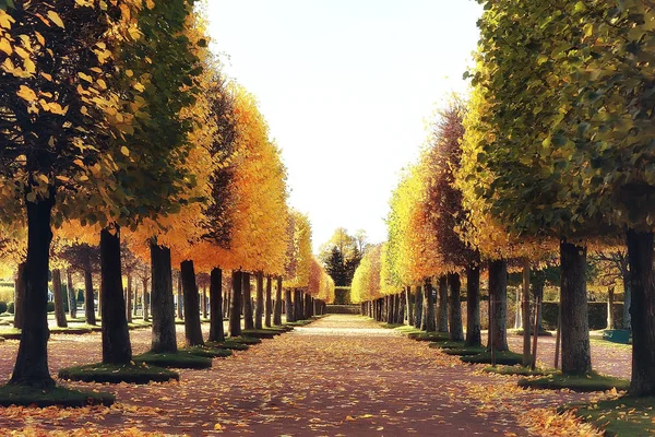 Oktoberlandschaft Herbst Park Gelbe Oktoberbäume Allee Der Herbstlandschaft — Stockfoto