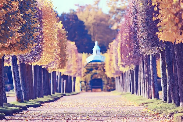 Octubre Paisaje Otoño Parque Árboles Amarillos Octubre Callejón Paisaje Otoño —  Fotos de Stock