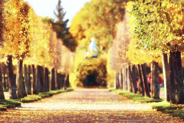 Mooi Herfst Landschap Gele Bomen Herfst Park Heldere Oranje Bos — Stockfoto