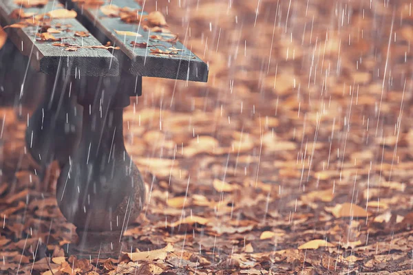 秋の雨背景 秋の雨の下で公園のベンチ 悪天候では黄色の 月公園 人なしの秋の風景の中を歩く — ストック写真