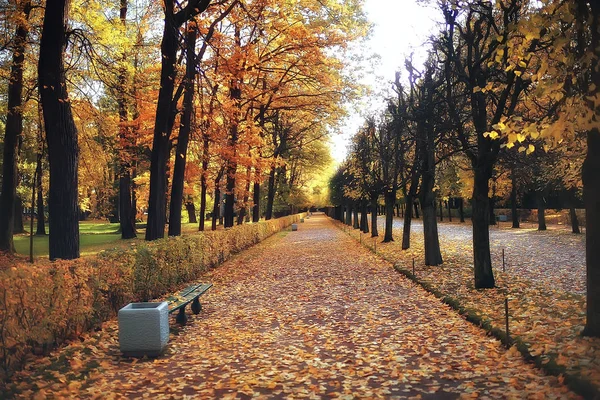 Bankje Herfst Landschap Stadspark Met Sinaasappel Bomen Takken Een Straat — Stockfoto