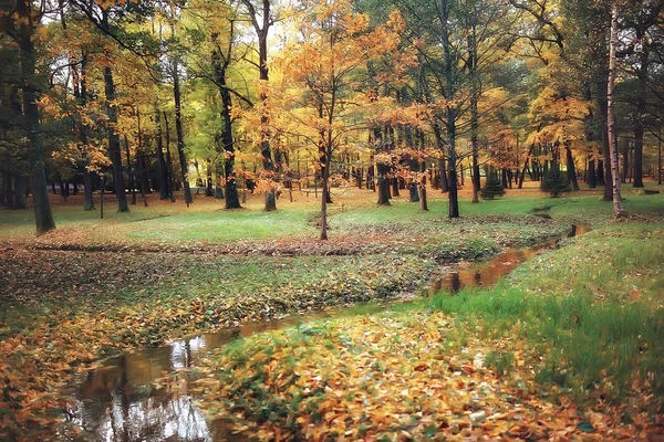 Όμορφο Φθινοπωρινό Τοπίο Κίτρινα Δέντρα Στο Πάρκο Φθινόπωρο Φωτεινό Πορτοκαλί — Φωτογραφία Αρχείου