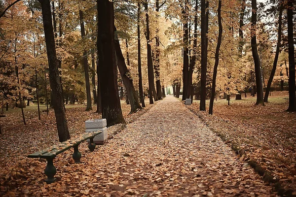 Landscape Bench Autumn Park October Landscape Yellow Park Autumn Background — Stock Photo, Image