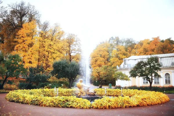 Paisaje Otoño Del Parque Peterhof Otoño Petersburg Temporada Otoño Parque —  Fotos de Stock