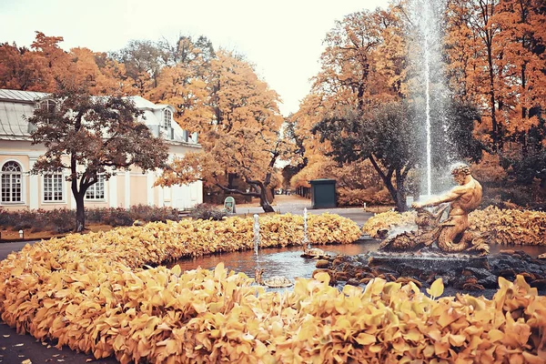 彼得夏宫 秋季公园的秋天风景在圣彼得堡 秋天季节在黄色公园里 — 图库照片