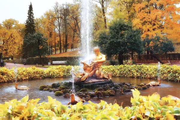 Herbstlandschaft Des Peterhof Herbstpark Der Petersburg Herbstzeit Gelben Park — Stockfoto