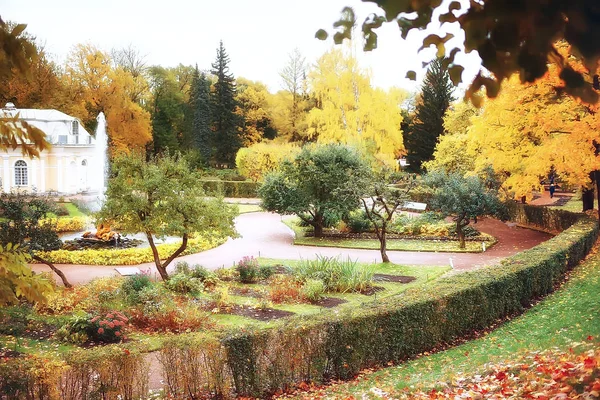 彼得夏宫 秋季公园的秋天风景在圣彼得堡 秋天季节在黄色公园里 — 图库照片
