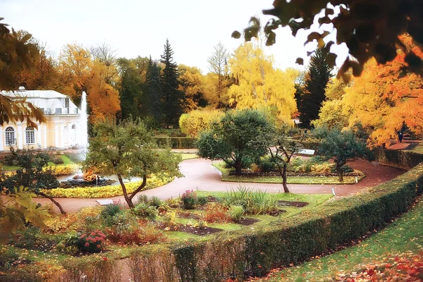 10月风景或秋天在公园 黄色10月树 胡同在秋天风景 — 图库照片