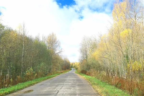 Beau Paysage Forestier Automne Forêt Jaune Arbres Feuilles Octobre Paysage — Photo