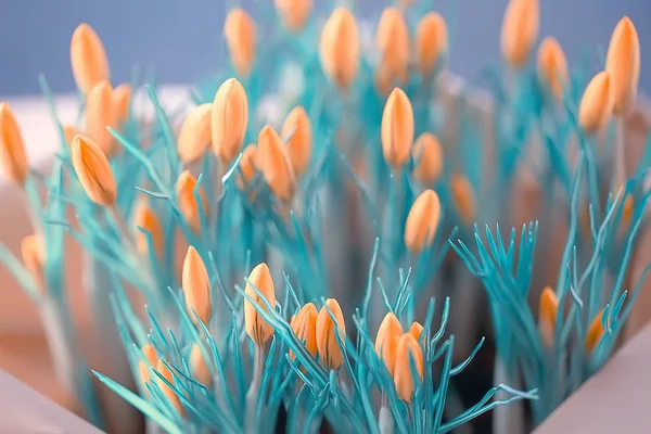 Flores Primavera Azul Incomum Fundo Primavera Flores Bonitas Selvagens Buquê — Fotografia de Stock