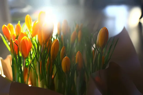 다채로운 꽃다발의 — 스톡 사진