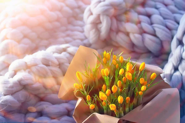 Zonnestralen Schittering Een Boeket Van Wild Geel Veld Bloemen — Stockfoto