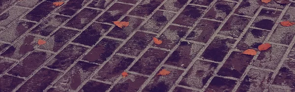 Gelb Abgefallene Herbstblätter Hintergrundstruktur Der Abgefallenen Blätter — Stockfoto