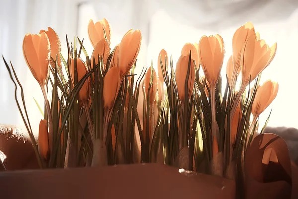 Close Beeld Van Boeket Van Kleurrijke Voorjaar Veldbloemen — Stockfoto