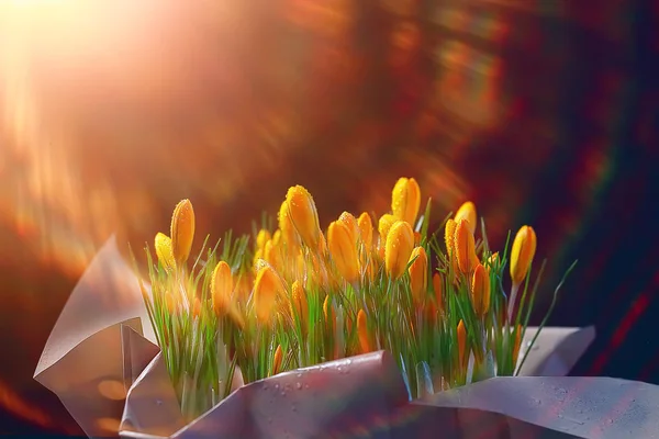 Сонячні Промені Відблиски Букет Диких Жовтих Польових Квітів — стокове фото