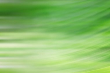 bahar açık yeşil arka plan, parlayan bulanık tasarım, tasarım duvar kağıdı için yaz arka plan bulanıklık